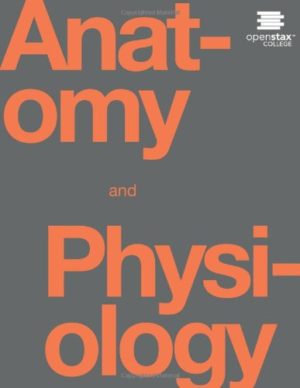 Anatomy and Physiology (1st Edition) Format: PDF eTextbooks ISBN-13: 978-1938168130 ISBN-10: 1938168135 Delivery: Instant Download Authors: OpenStax College Publisher: OpenStax College