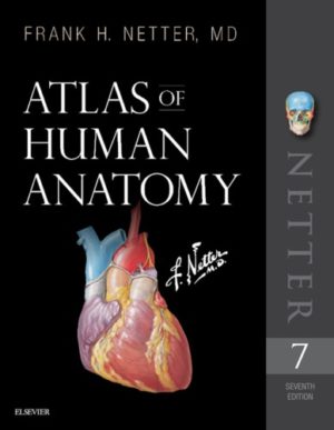 Atlas of Human Anatomy - Including Student Consult (7th Edition) Format: PDF eTextbooks ISBN-13: 978-0323393225 ISBN-10: 0323393225 Delivery: Instant Download Authors: Frank H. Netter MD Publisher: Elsevier