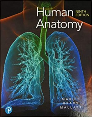Human Anatomy (9th Edition) Format: PDF eTextbooks ISBN-13: 978-0135168059 ISBN-10: 0135168058 Delivery: Instant Download Authors: Elaine N. Marieb Publisher: Pearson