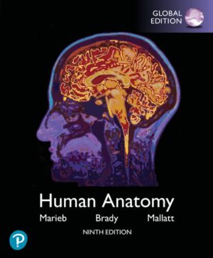 Human Anatomy (9th Edition) Global Edition Format: PDF eTextbooks ISBN-13: 978-1292314471 ISBN-10: 1292314478 Delivery: Instant Download Authors: Elaine N. Marie Publisher: Pearson