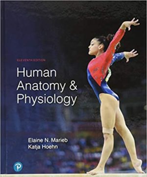 Human Anatomy & Physiology (11th Edition) Format: PDF eTextbooks ISBN-13: 978-0134580999 ISBN-10: 0134580990 Delivery: Instant Download Authors: Elaine Marieb Publisher: Pearson