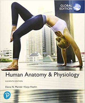 Human Anatomy Physiology (11th Edition) Global Edition Format: PDF eTextbooks ISBN-13: 978-1292260853 ISBN-10: 1292260858 Delivery: Instant Download Authors: Elaine N. Marieb ET ALL Publisher: PEARSON