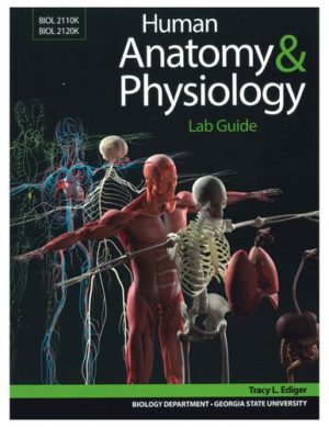 Human Anatomy & Physiology Lab Guide by Tracy L. Ediger Format: PDF eTextbooks ISBN-13: 9781643863696 ISBN-10: 9781643863696 Delivery: Instant Download Authors: Tracy L. Ediger Publisher: bluedoor