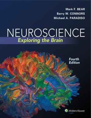 Neuroscience - Exploring the Brain (4th Edition) Format: PDF eTextbooks ISBN-13: 978-0781778176 ISBN-10: 0781778174 Delivery: Instant Download Authors: Mark F. Bear Publisher: Jones & Bartlett